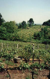 Panorama Montiglio